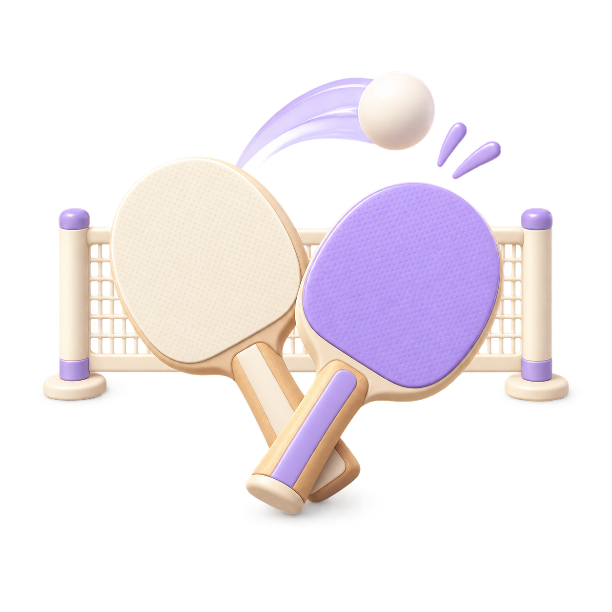 Table tennis paddles, net and ball